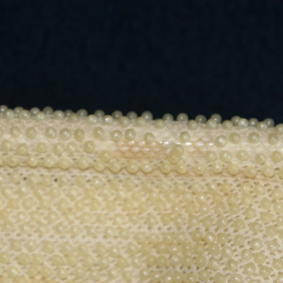 Lot of 3 Off White Vintage Purses - Picture 9 of 16